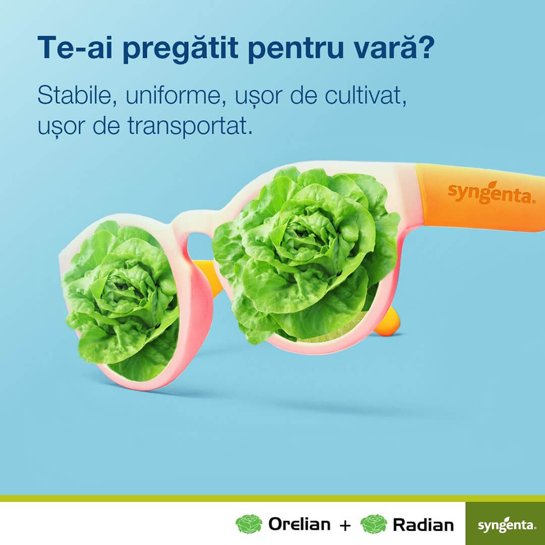 Syngenta Witty
