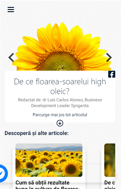 Screen